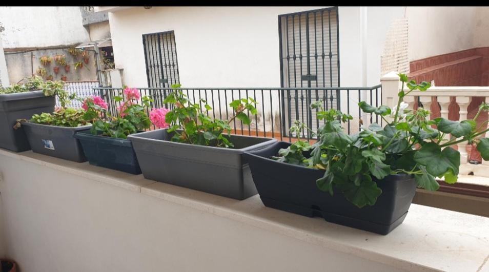 Apartamento Brianna جيريز المظهر الخارجي الصورة